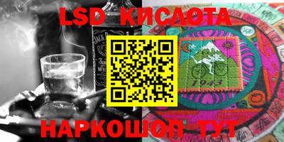 индика Тула