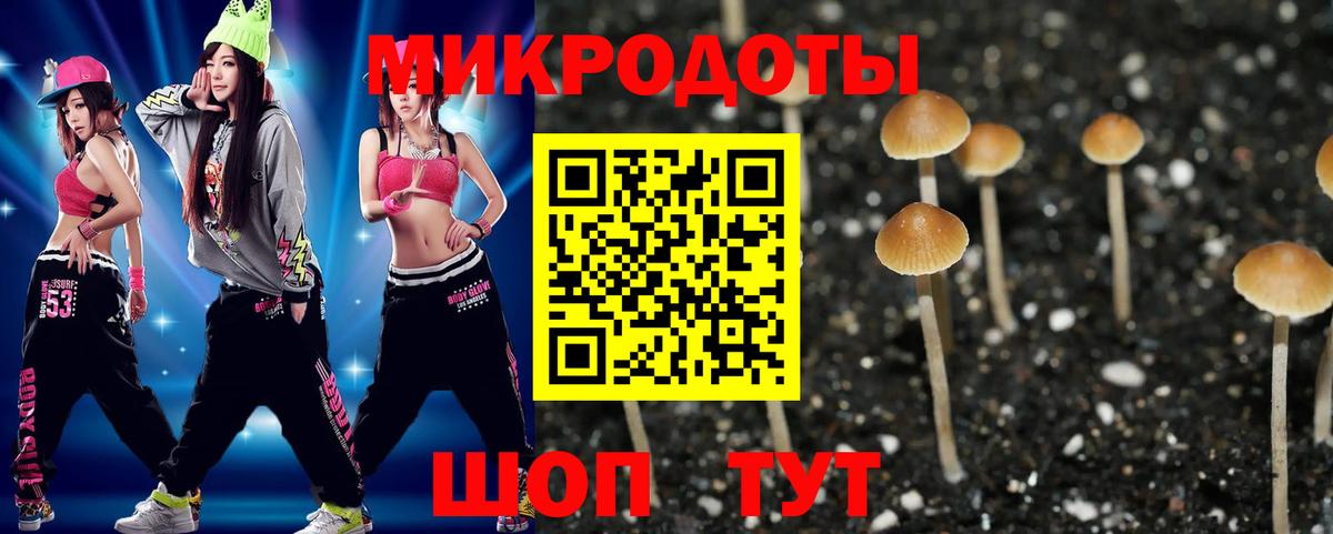 Галлюциногенные грибы GOLDEN TEACHER  Вход с VPN  Павловский Посад 